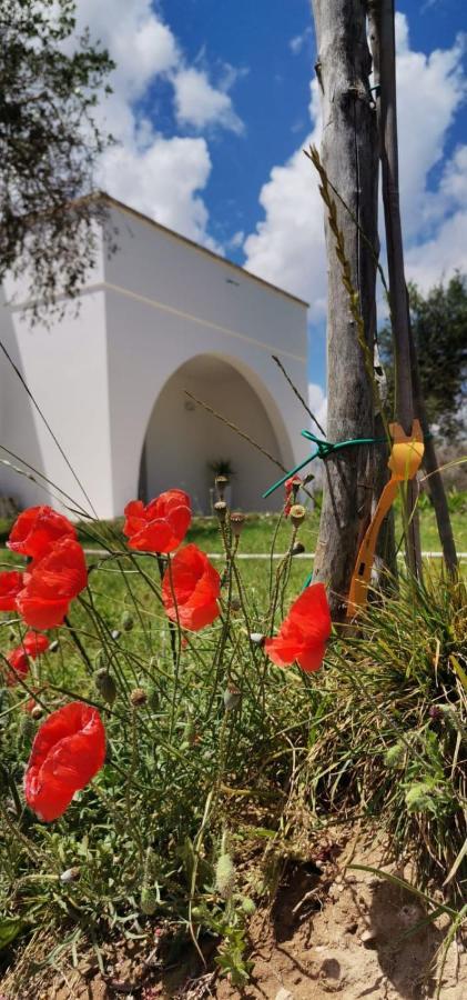 B&B Villa Bello Otranto Exterior photo